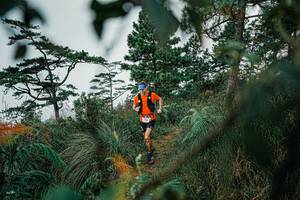 BIB: 
                            <button type="button" onclick="openModal(25258457)" class="btn btn-primary btn-sm float-right btn-popup" data-toggle="modal" data-target=".modal-high-quality">
                        <i class="fas fa-shopping-cart"></i> Add to Cart
                    </button>
                                            <button type="button" onclick="isThisMe(25258457, true)" class="btn btn-success btn-sm float-right btn-popup btn-isme hidden" data-toggle="tooltip" data-placement="bottom" title="นี่คือรูปของคุณใช่ไหม คลิกที่นี่เพื่อเอาเข้าอัลบั้ม">
                        <i class="fas fa-plus"></i> Add to album
                    </button>
                    <button type="button" onclick="isThisMe(25258457, false)" class="btn btn-warning btn-sm float-right btn-popup btn-isnotme hidden">
                        <i class="fas fa-ban"></i> Remove from album
                    </button>